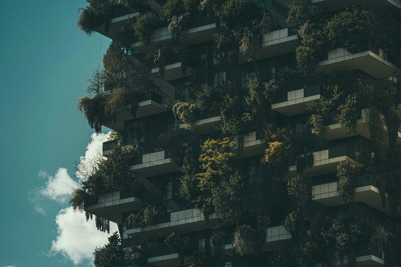 Prácticas sostenibles y eco-friendly en propiedades